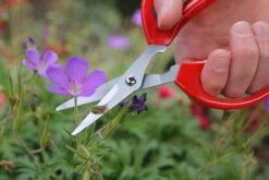 Darlac Softies Scissors -Outdoor Garden Store 39240 12077