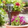 Smart Solar Avant Stake Light, 5pk -Outdoor Garden Store 39352 11961