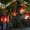 Smart Solar Ladybird Lights - Set Of 10 -Outdoor Garden Store 39378 11922