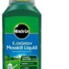 Miracle-Gro Mosskill Liquid 1L 1 Miracle-Gro Mosskill Liquid 1L -Outdoor Garden Store 42520 8130