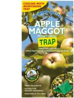 Growing Success Apple Maggot Monitoring Trap