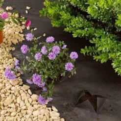 Smart Garden G100 Anti-Weed Fabric 1m X 15m -Outdoor Garden Store 44684 5799