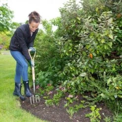 Wilkinson Sword Stainless Steel Border Fork -Outdoor Garden Store 45294 5123