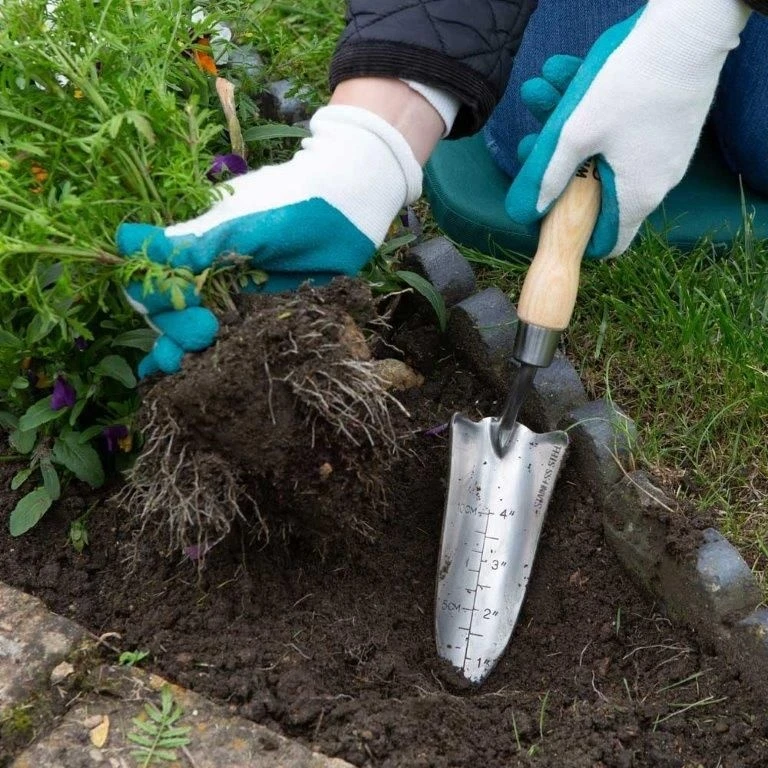 Wilkinson Sword Stainless Steel Hand Transplanter 6 Wilkinson Sword Stainless Steel Hand Transplanter - Image 4