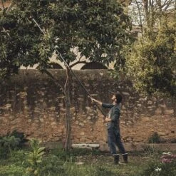 Fiskars PowerGear X Telescopic Tree Pruner UPX86 -Outdoor Garden Store 47154 1889