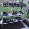 Halls Greenhouses Seed Tray 3 Tier X 15 Trays -Outdoor Garden Store 48338 38282