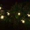 Smart Garden Vivo 365 String Lights - Set Of 8 -Outdoor Garden Store 50725 31886