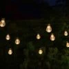 Smart Garden Festoon Lights - Set Of 20 -Outdoor Garden Store 50736 31852