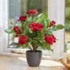Smart Garden 40cm Regent's Roses - Ruby Red -Outdoor Garden Store 50757 31791