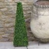 Smart Garden Boxwood Obelisk 60cm -Outdoor Garden Store 50809 31670