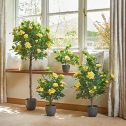 Smart Garden 40cm Regent's Roses - Sunshine Yellow -Outdoor Garden Store 50835 31596