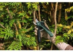 Bosch EasyPrune Cordless Secateurs -Outdoor Garden Store 51032 30816