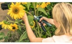Bosch EasyPrune Cordless Secateurs -Outdoor Garden Store 51032 30843