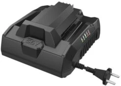 EGO CH3200E 320W Quick Charger -Outdoor Garden Store 51907 28278