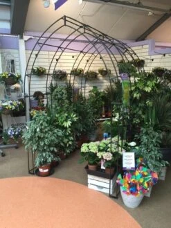 Poppy Forge Gothic Tunnel -Outdoor Garden Store 53258 26528