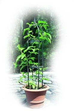 Poppy Forge Mini Traditional Obelisk