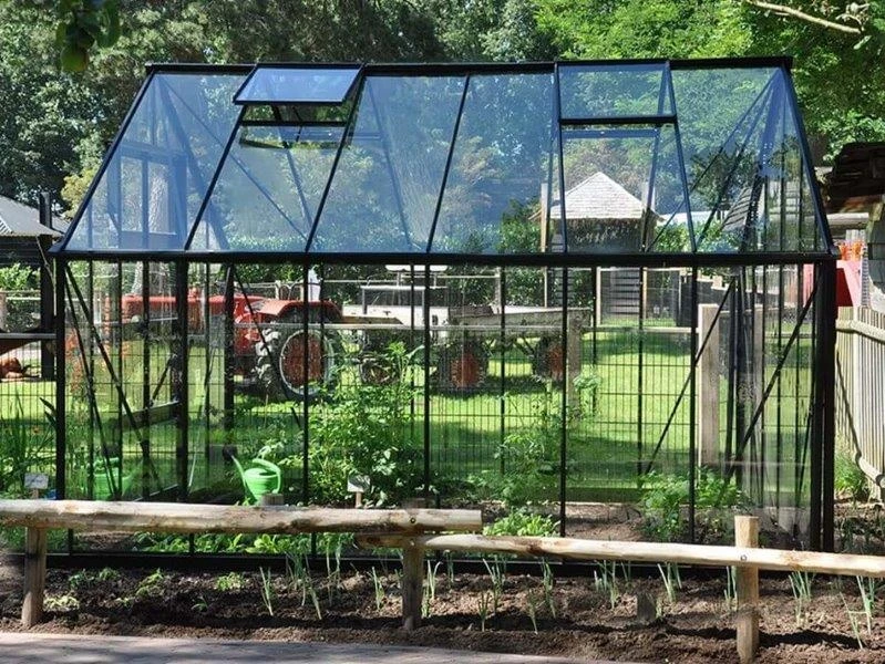 Halls Greenhouses Bourton 3 Halls Greenhouses Bourton