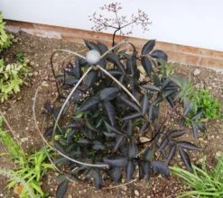 Poppy Forge Bell Cloche - Pack Of 2 -Outdoor Garden Store 55876 40909